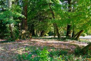Château de Thouaré