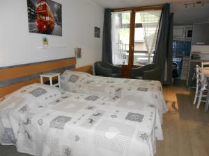 Appartements Studio cosy a Brides-les-Bains - 4 pers, 28m², balcon, parking, wifi inclus - FR-1-512-270 : photos des chambres