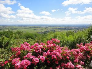 Hotels Auberge Les Hauts De Chenas : photos des chambres