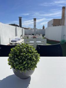 San Rafael Terrace City centre