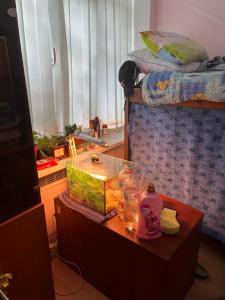 ArArAt-HOLOSIIVSKYI Hostel KYIV