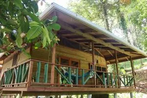 Jungle beach 2 bedroom cottage - 博卡德拉戈