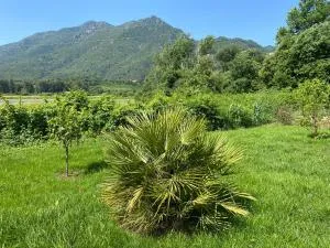 Terra bella Costa Verde T2 classé 3 étoiles - 圣乔瓦-迪莫里亚尼