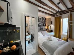 Studios Pasteur- Paris XVe