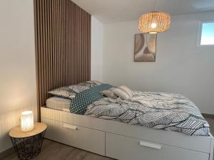 Appartements Superbe T2 Rouen avec jardin + parking gratuit a proximite : photos des chambres