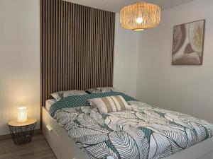 Appartements Superbe T2 Rouen avec jardin + parking gratuit a proximite : photos des chambres