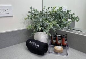 Bright Top Floor-Elevator-Walk Downtown-Laundry