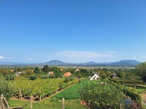 BALATONHEGYVIDÉKI APARTMAN