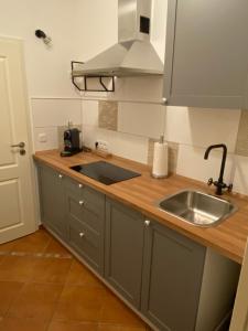 Apartment mit Terrasse iP-TV Stellplatz