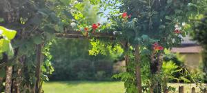 Appartements Coquelicots Dordogne : photos des chambres