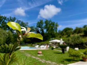 Villa con Piscina Donna Romina