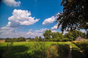 Świętokrzyskie Stodoła Kasztanowa Aleja Radkowice