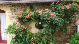 Appartements Coquelicots Dordogne : photos des chambres