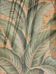 Casa 24 Puerto Iguazu