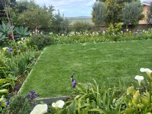 Good News Guest Units