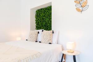 Loriga View Apartments