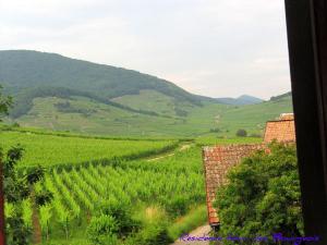Appartements Plein Sud vue sur les Vosges et le vignoble : Appartement