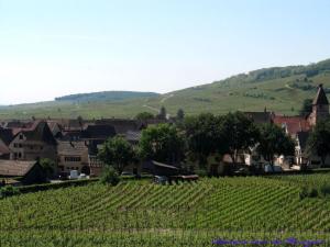 Appartements Plein Sud vue sur les Vosges et le vignoble : photos des chambres