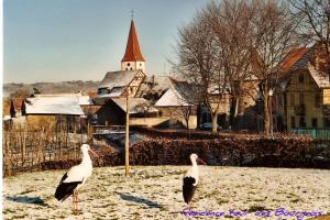 Appartements Plein Sud vue sur les Vosges et le vignoble : photos des chambres