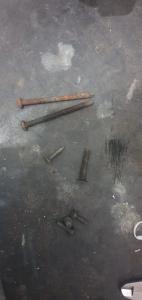 Carvalho de Paquetá