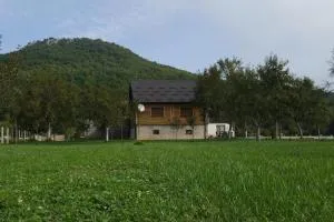 Family friendly house with a parking space Aleksinica, Velebit - 21682 - Klanac