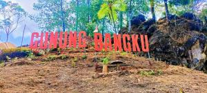 obrázek - Gunung bangku ciwidey rancabali camp