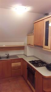 Houses and Apt in Smarjeske Toplice Kranjska Krain 26042