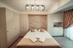 Amazing Cozy Studios in Iasi City