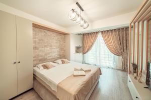 Amazing Cozy Studios in Iasi City