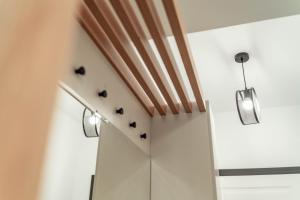 Amazing Cozy Studios in Iasi City