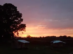 Beaver Tail Cabin - Upper Welson