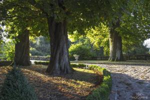 Maisons de vacances LES DOUVES, charmante dependance du chateau : photos des chambres