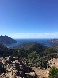 Appartements Balagne ile rousse et Calvi : photos des chambres