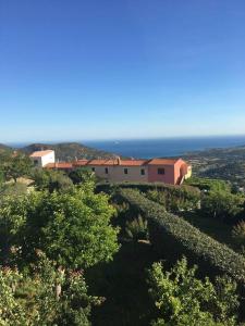 Appartements Balagne ile rousse et Calvi : photos des chambres