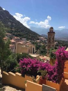 Appartements Balagne ile rousse et Calvi : photos des chambres