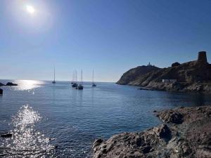 Appartements Balagne ile rousse et Calvi : photos des chambres