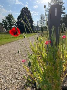 Maisons de vacances La Petite Maison- a cute and cosy village house : photos des chambres