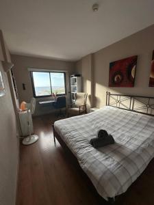 Apto increíble, acogedor, luminoso de ambiente muy relajante con excelentes vistas y servicios Amazing apt with sunset lovely views