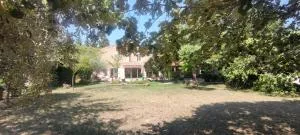 Domaine de la violette - 奥朗日