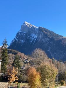 Appartements Studio Samoens Residence Grand Tetras 4 pers. class 2* : photos des chambres