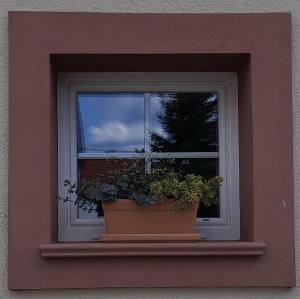Ferienwohnungen "Zum Lochfeld"
