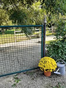Ferienwohnungen "Zum Lochfeld"