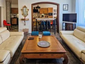 Magnifique maison classée 3 étoiles, 7 chambres, 5 salles de bain, parking privé, Tarbes ville - Bordères-sur-lʼÉchez