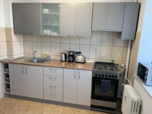 Victoriei Boulevard Private Apartment