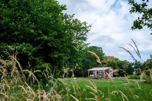 Chalets Tiny house near the Mont-Saint-Michel : photos des chambres