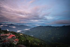 Muscatel Stardust - Chowrasta Mall Road