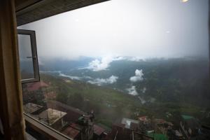 Muscatel Stardust - Chowrasta Mall Road