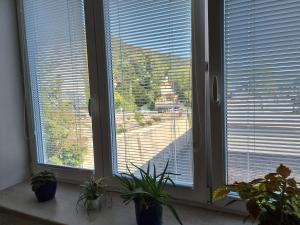 Garsoniera DUKLA 289