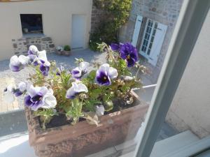 Maisons de vacances Gite tante Jeanne : photos des chambres
