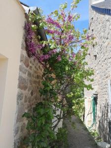 Maisons de vacances Gite tante Jeanne : photos des chambres